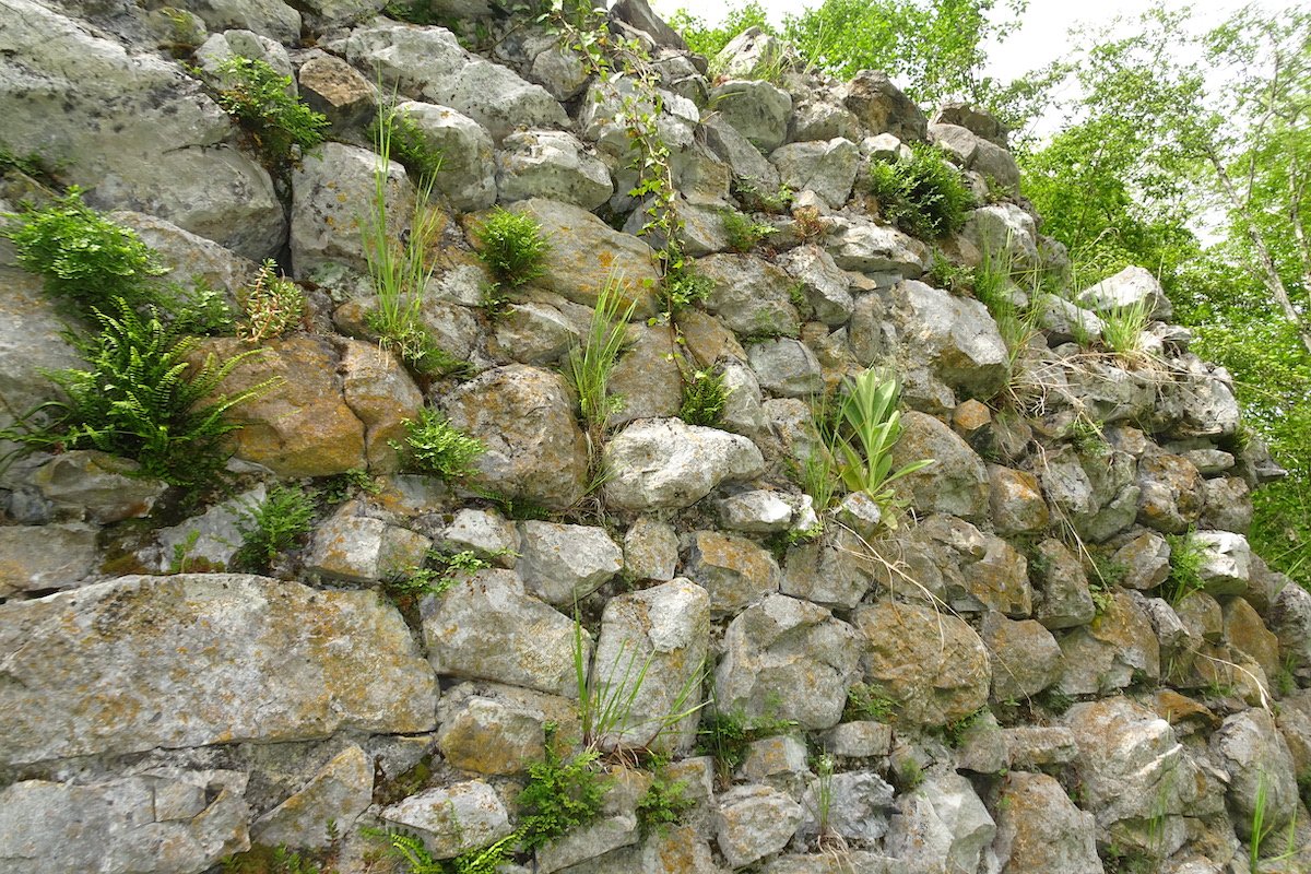 Lebensraum Trockenmauer
