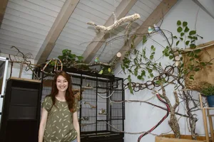 Katja Rauchenstein stellt ihren Wellensittichen ein ganzes Zimmer zur Verfügung.
