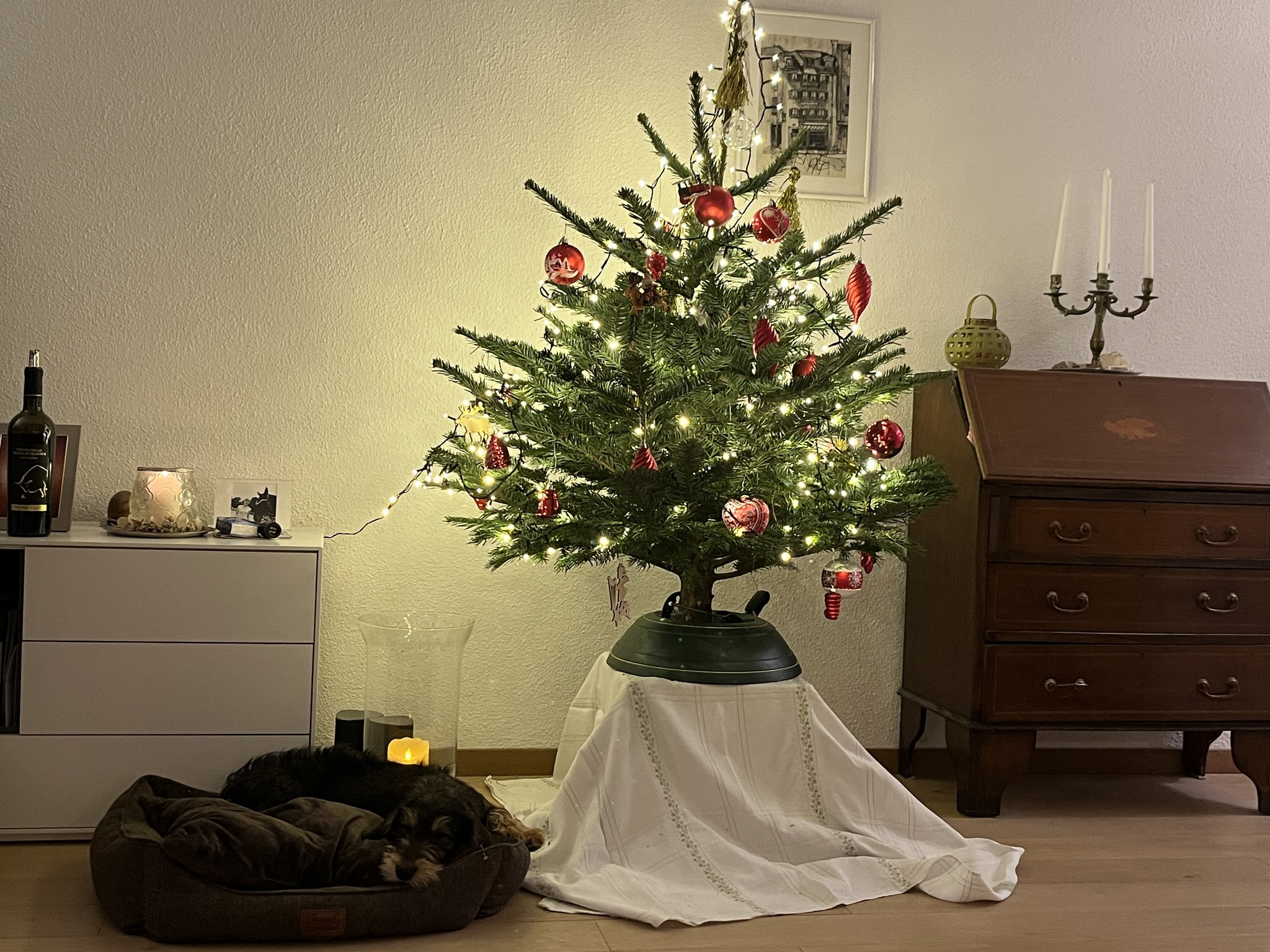 Die ersten Weihnachten