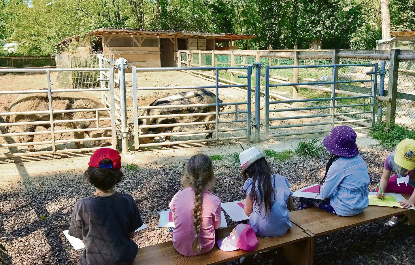 Kinder lernen in der Ethikschule auch, Tieren Raum zu geben und aus der Ferne zu beobachten.