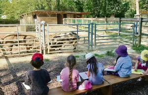 Kinder lernen in der Ethikschule auch, Tieren Raum zu geben und aus der Ferne zu beobachten.