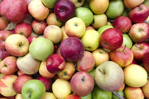 Äpfel produzieren besonders viel Ethylen.