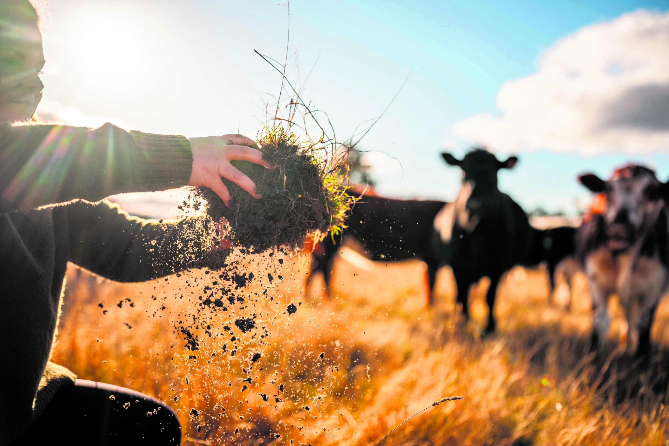 Die Dürre des Sommers 2026 brachte viele Landwirte an ihre Grenzen.