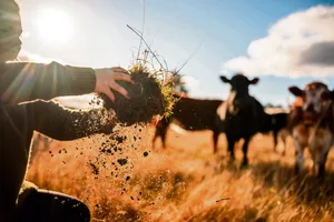 Die Dürre des Sommers 2026 brachte viele Landwirte an ihre Grenzen.