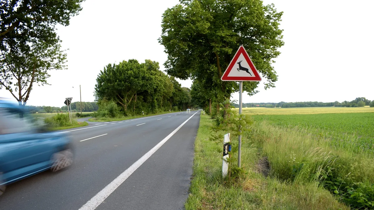 Animals,Crossing,Warning,Road,Sign Hier ist Vorsicht geboten: Wildwarnschilder stehen dort, wo Tiere häufig die Strasse queren.