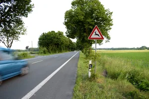 Hier ist Vorsicht geboten: Wildwarnschilder stehen dort, wo Tiere häufig die Strasse queren.