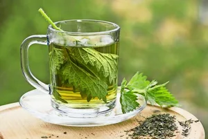 Brennnessel (Urtica dioica/Urtica urens).
Anwendung: als Frühjahrskur, zur Blutreinigung, bei Entzündungen der Harnwege und Nieren, Magen- und Darmbeschwerden sowie Rheuma und Gicht,
Eigenschaften: blutbildend/-reinigend, stoffwechselanregend, blutdrucksenkend, schleimlösend, wassertreibend, cholesterinsenkend,
Verwendete Teile: Blätter, Samen, Wurzeln,
Küche: Salatbeigabe, Omeletten, Suppe, Tee, Smoothies, frittiert; Blätter leicht anwelken lassen oder walzen, damit Brennhaare nicht mehr brennen