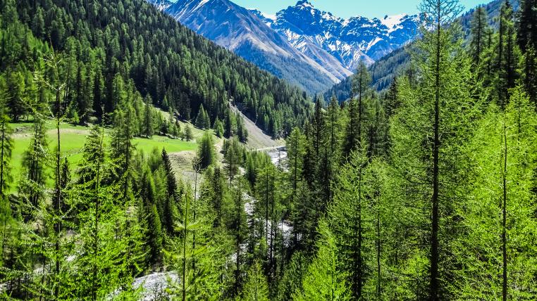 Schweizerischer Nationalpark