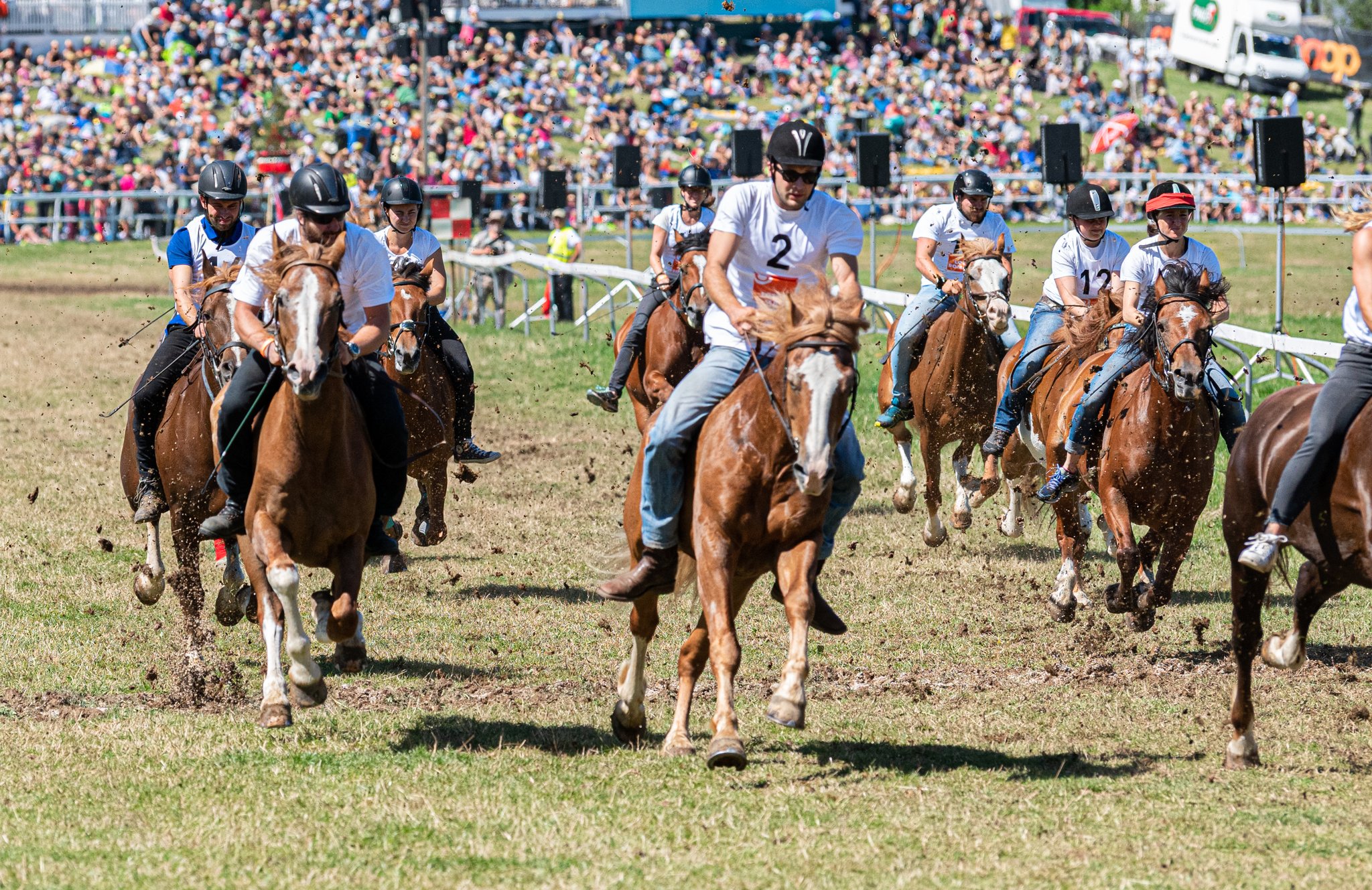 Gewinnen Sie zwei Tickets für das grösste Pferdefest der Schweiz