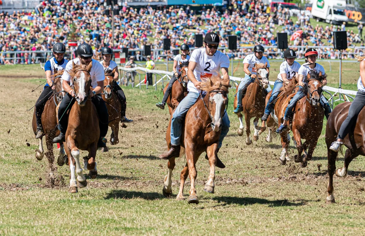 06_CourseCampagnardeAdultes__2_8106565_3848pxBL_300ppp Gewinnen Sie zwei Tickets für das grösste Pferdefest der Schweiz