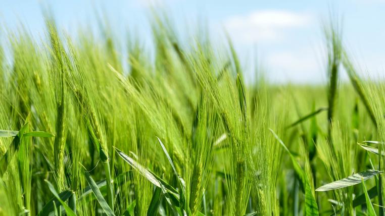 Landwirtschaft Thurgau