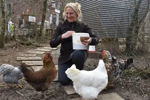 Anja Sitter hatte zwar ursprünglich nichts mit Hühnern am Hut, findet die Tiere heute aber «einfach wunderbar».