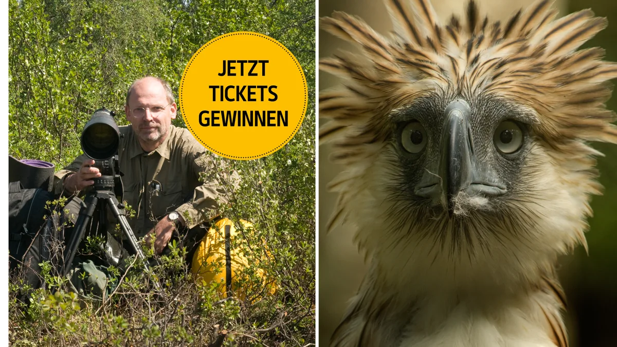 Artikelbild_TierWelt_klaus_nigge Gewinnen Sie 2 Tickets für die Multimediareportage von National Geographic Fotograf Klaus Nigge
