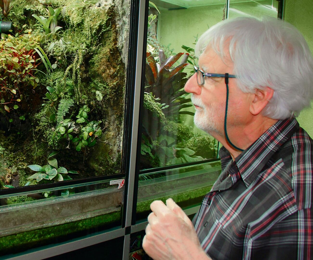 René Waldner beschäftigt sich täglich intensiv mit seinen Terrarien.