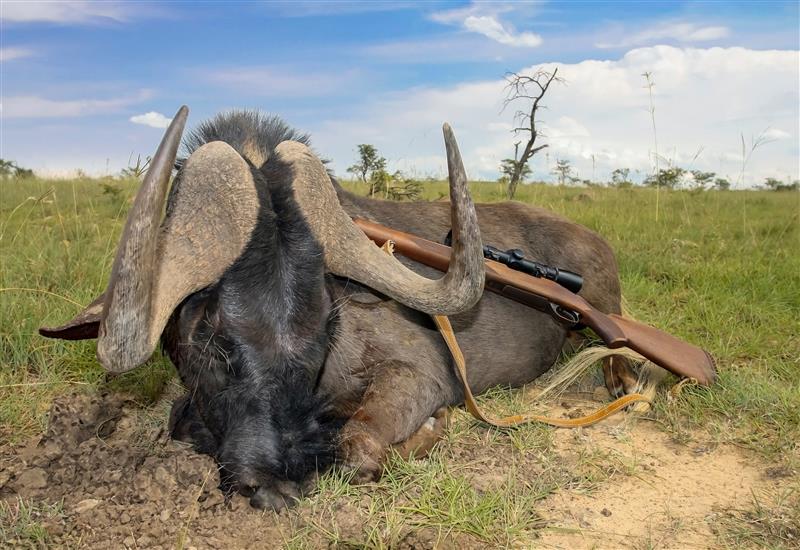 Jagdsafaris sind seit Kolonialzeiten beliebt