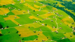 Ausgeräumtes Kulturland: Die Schweizer Landwirtschaft lässt wenig Platz für Biodiversität.