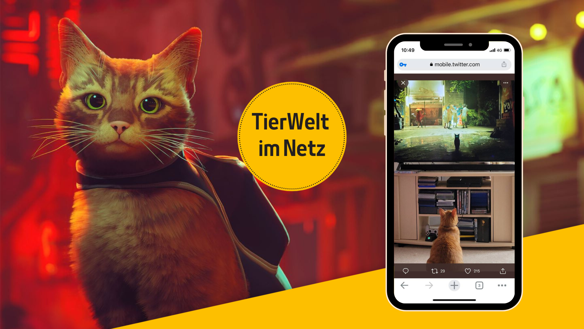 «Stray» zieht Menschen und Katzen gleichermassen in seinen Bann