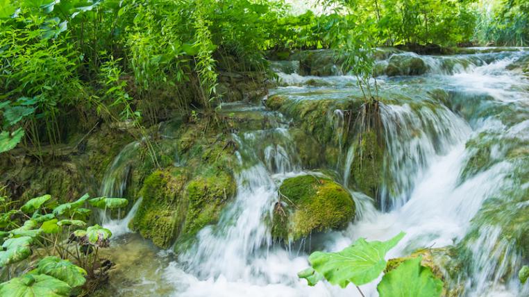 Trinkwasser