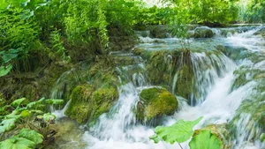 Düngemittel haben das Grundwasser in Deutschland mit Nitraten verunreinigt. Nun droht eine Strafe.
