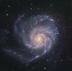 Die wunderschöne Spiralgalaxie M 101 (bekannt als Pinwheel-Galaxie) ist von der Erde im Sternbild des Grossen Bären (oder Grossen Wagens) sichtbar und ungefähr 25 Millionen Lichtjahre von der Milchstrasse entfernt. Wer sich davon eine ungefähre Vorstellung machen will, falls er kann: Ein Lichtjahr entspricht rund 9,5 Billionen Kilometern. Eine Billion wiederum ist eine 1 mit 12 Nullen dran.