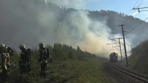 Am Dienstag ist es in der geschützten Vorderrheinschlucht zu einem Brand gekommen.