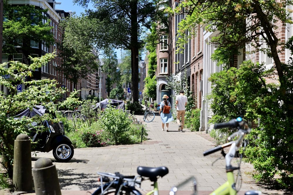 Die Stadt als Schwamm