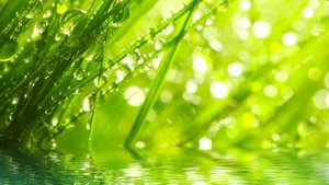 Zum Thema Wasser ist das letzte Wort noch nicht gesprochen: Das neue Zürcher Wassergesetz regelt unter anderem den Seezugang, den Hochwasserschutz und die Agrarland-Entwässerung.