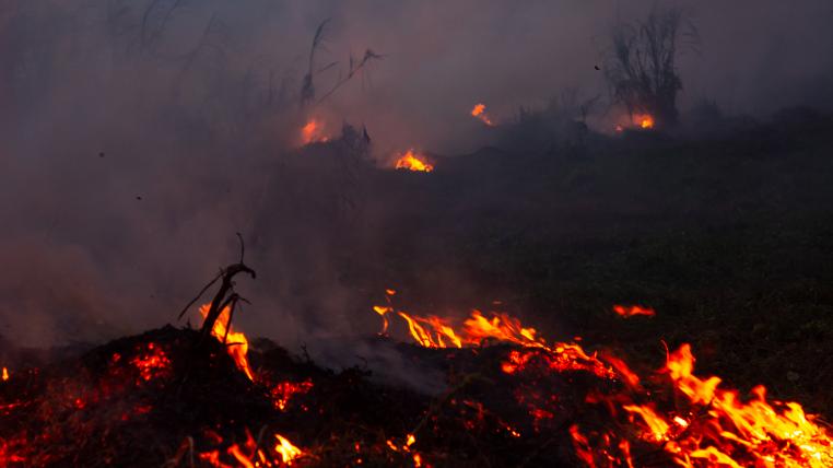 Waldbrand
