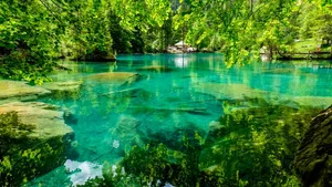 Nächstes Kapitel in der Affäre um eine angebliche Grundwasservergiftung: Ein neues Gutachten soll Aufschluss darüber geben, warum Fische im Blausee sterben mussten.