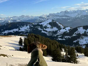 Von der 360 Grad Aussicht auf der Rigi zeigte sich sogar Frieda beeindruckt.