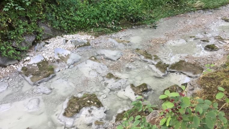 Uze-Bach in Niederuzwil verunreinigt