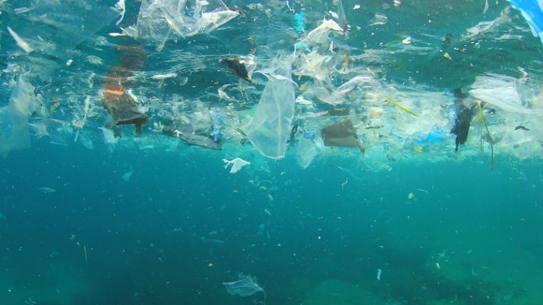 Plastik_im_Meer.jpg
