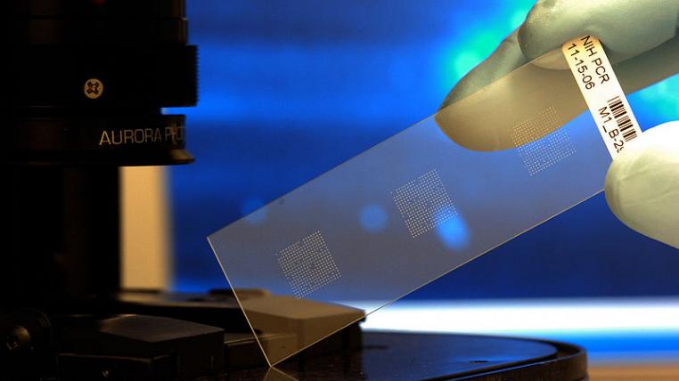 biochip.jpg