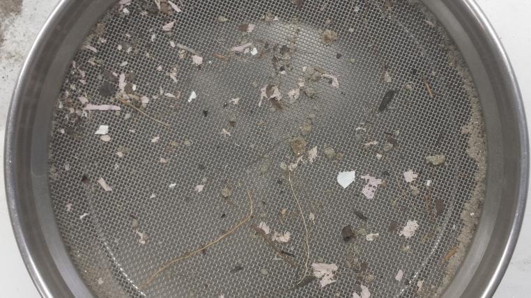 Mikroplastik Uni Bern