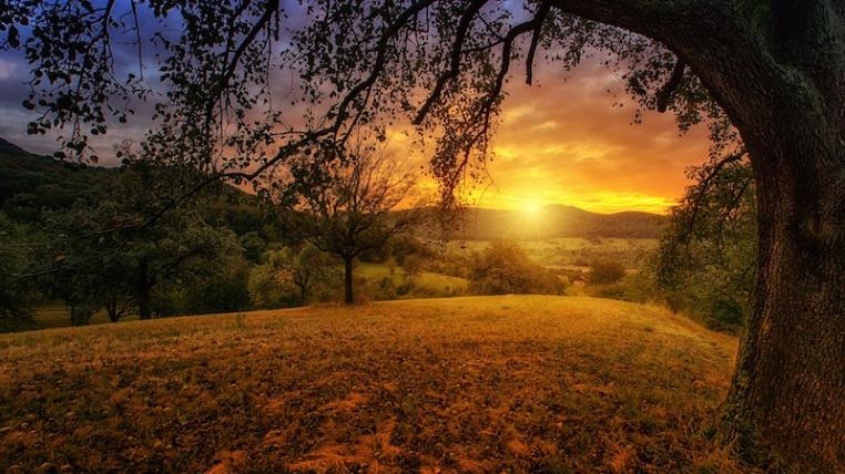 Natur