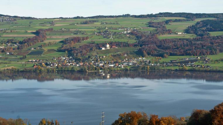 baldeggersee-phosphor-ueberduengt.jpg