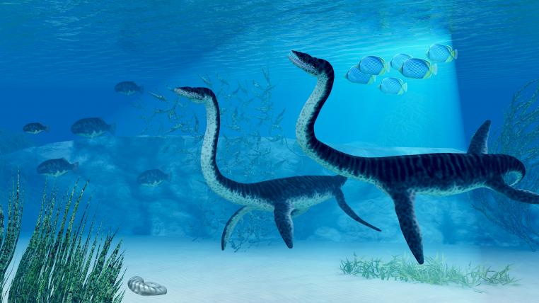 Meerestiere Dinosaurier