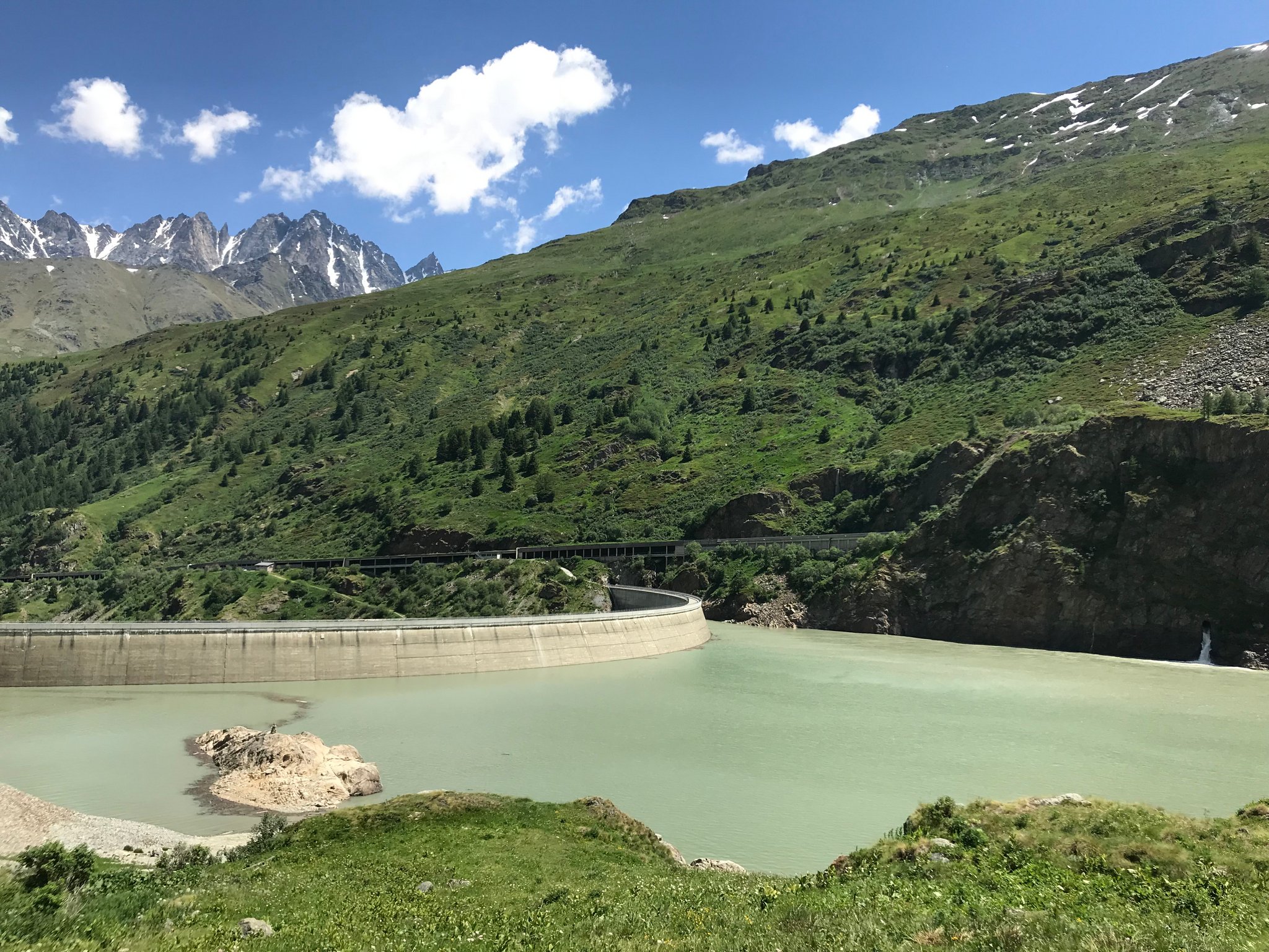 Kanton Wallis und WWF reichen nach Massenfischsterben Klage ein