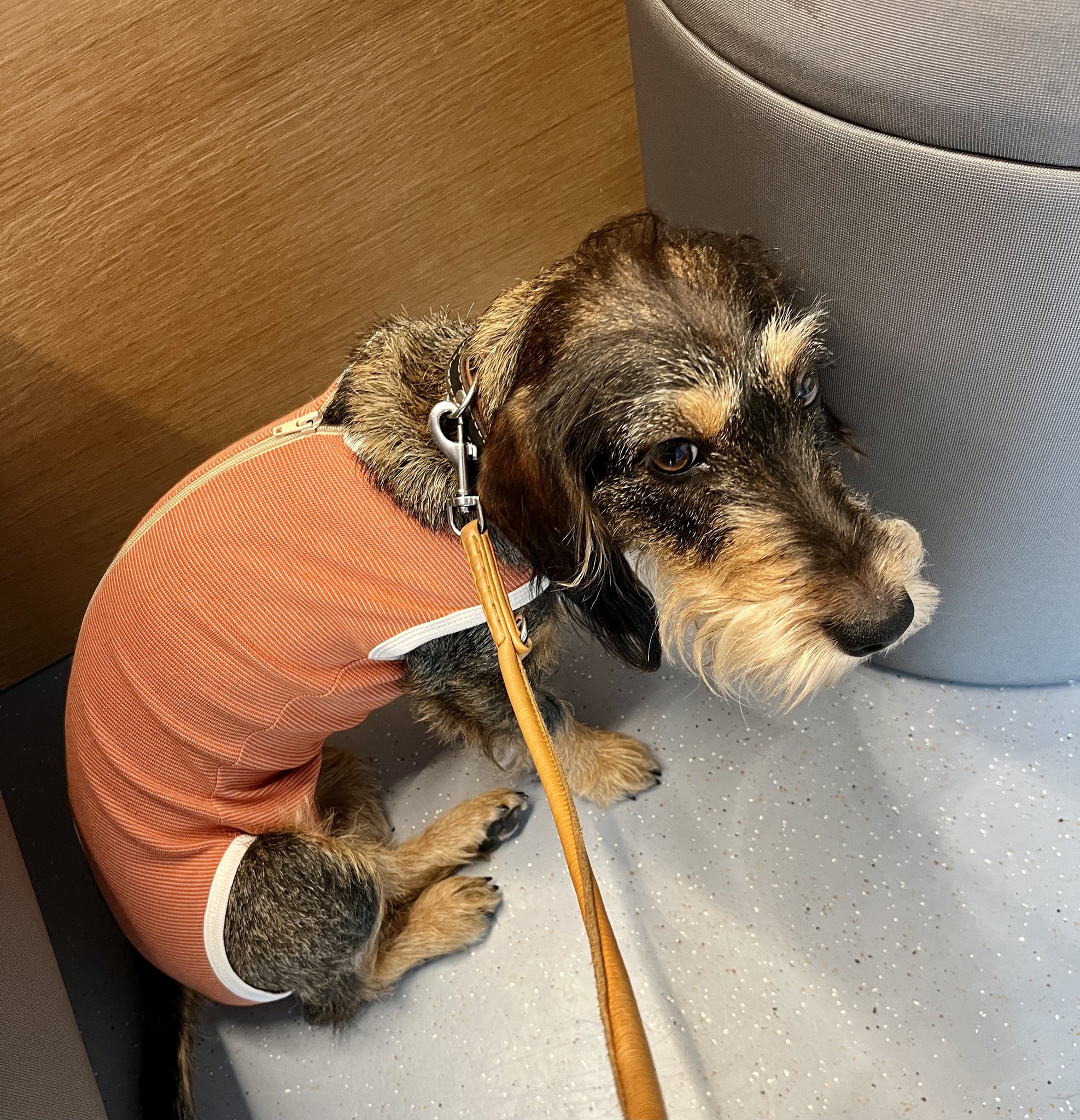 Frieda im Operationssaal
