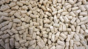 Ist der Zapfen mit Trichloranisol verseucht, sorgt dies für den Korkgeschmack im Wein.