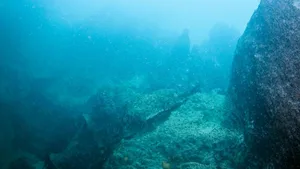 Unterwasser-Berge: Ihre Untersuchung lässt Rückschlüsse auf tiefere Erdschichten zu.