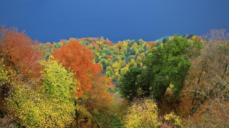 Wald Nidwalden