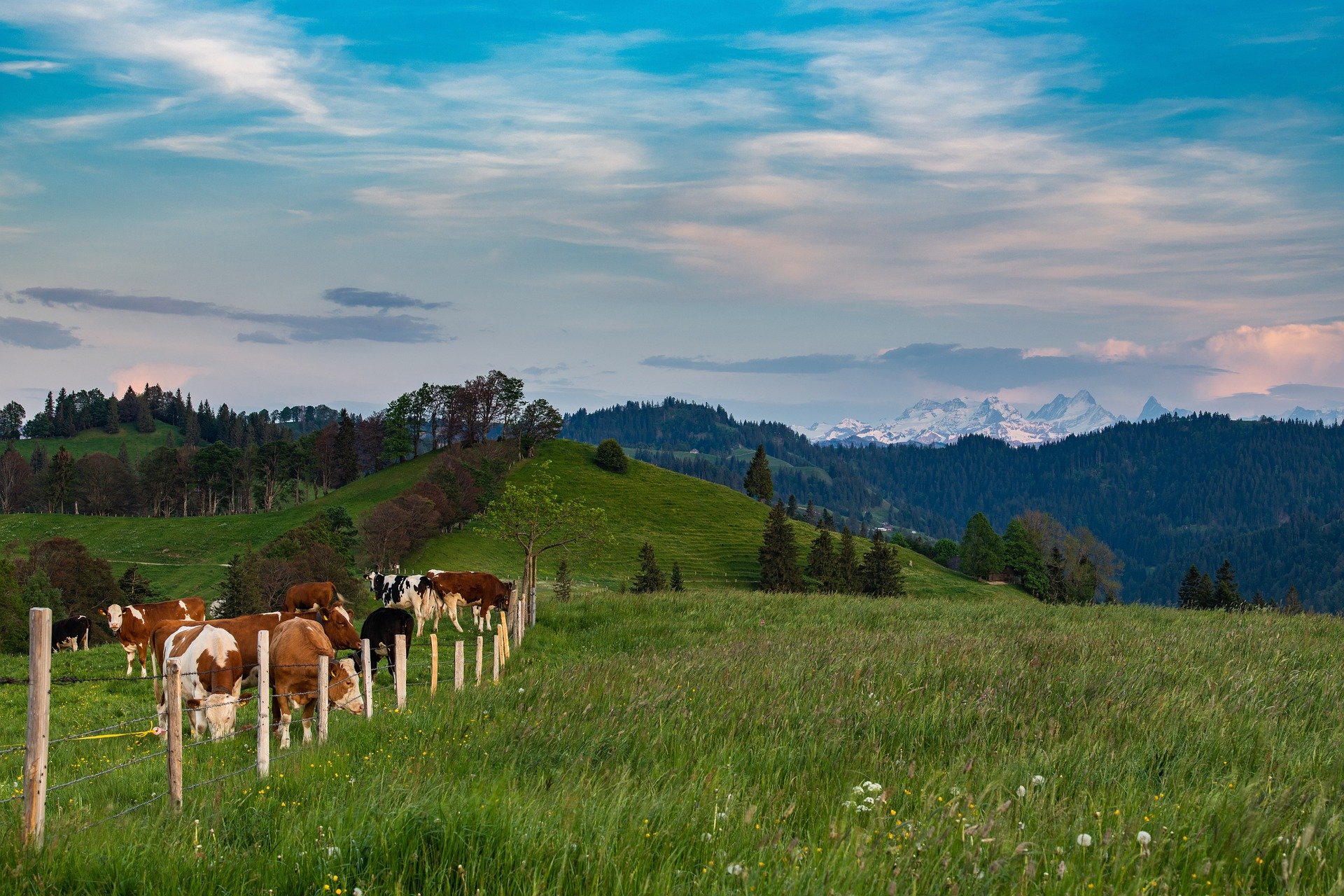 Die Landwirtschaft im Klimawandel