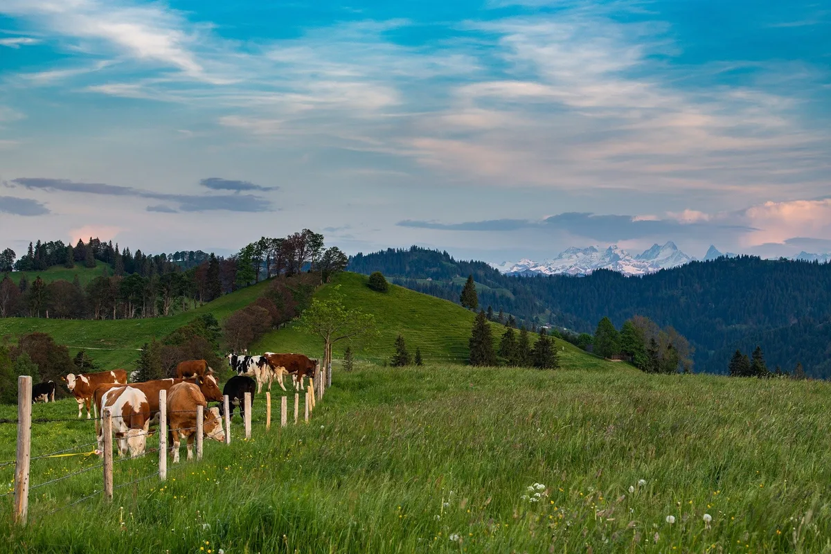 switzerland-4292275_1920 Die Landwirtschaft im Klimawandel