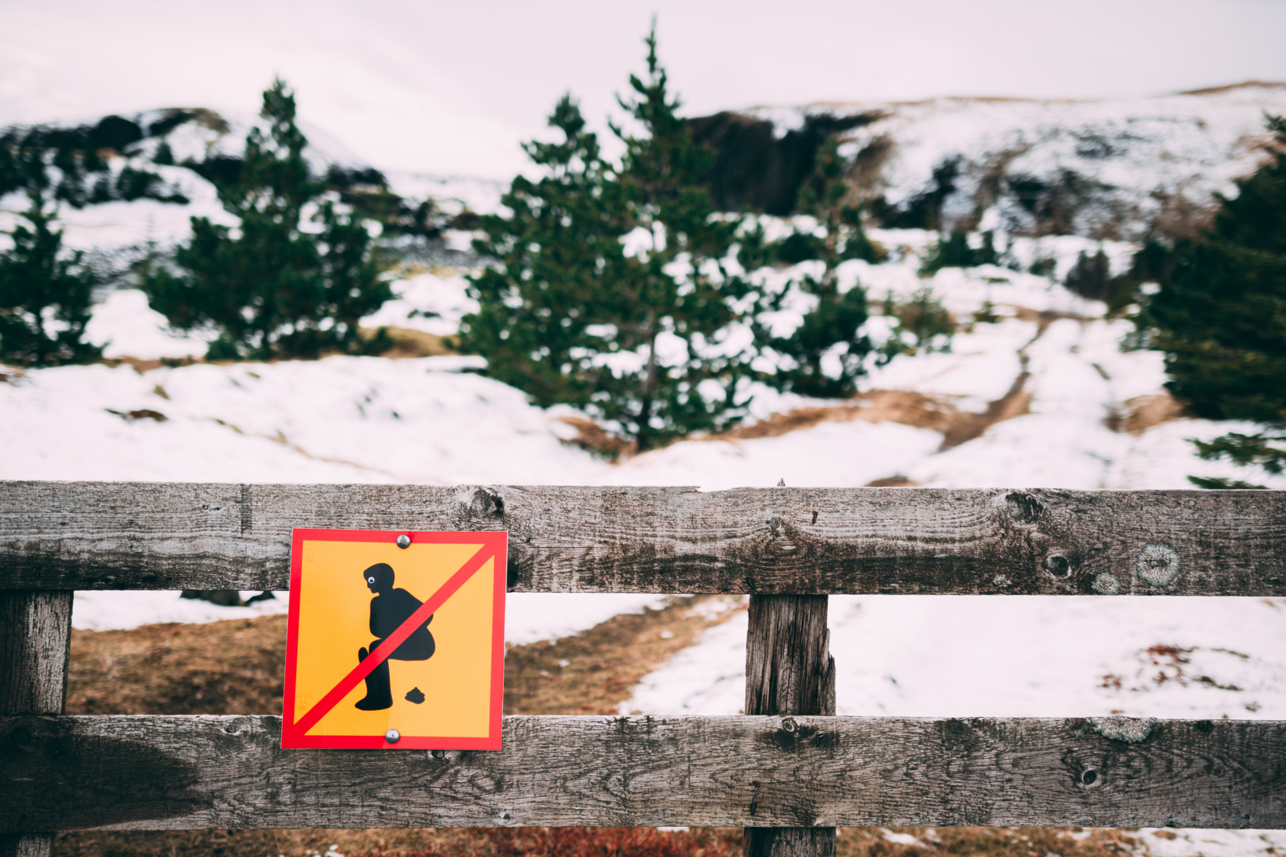 Wie man seine Notdurft in der Natur verrichtet