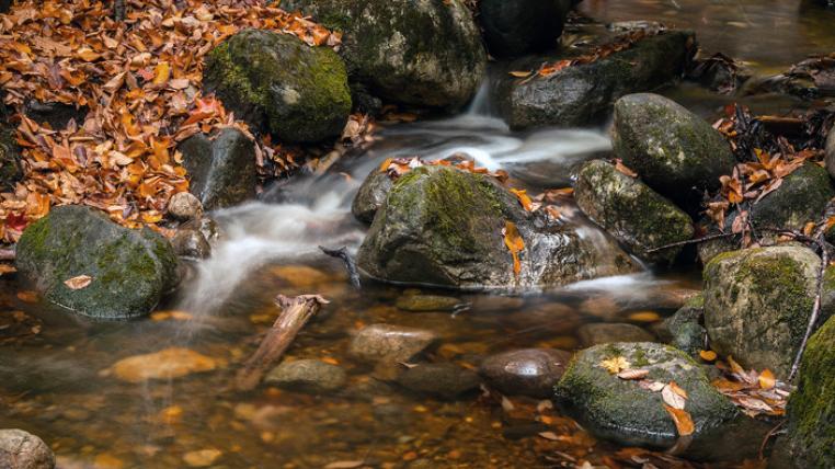 Bach mit Herbstlaub