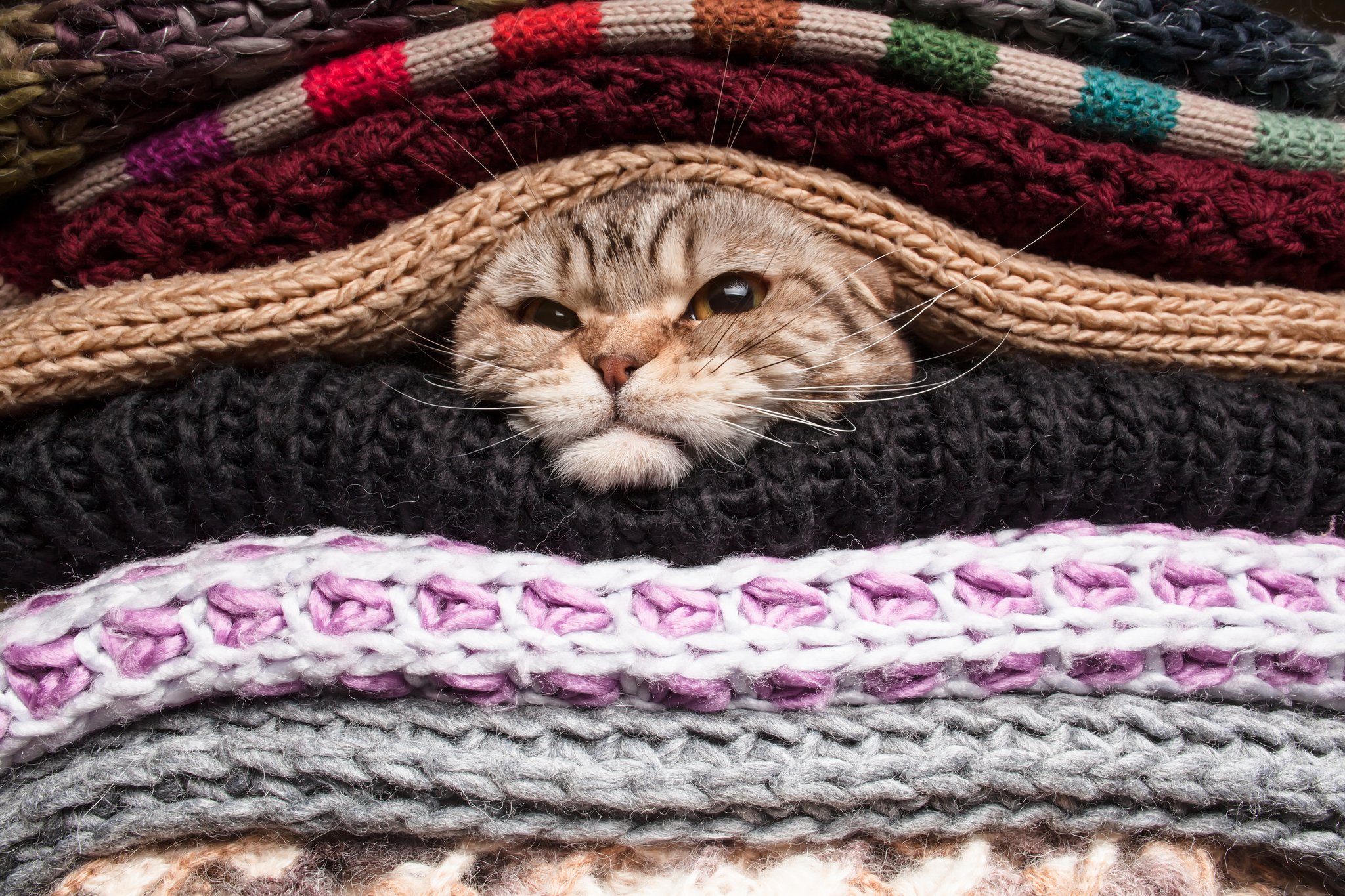 Mit dem Zwiebelprinzip und cleveren Gadgets warm durch den Winter