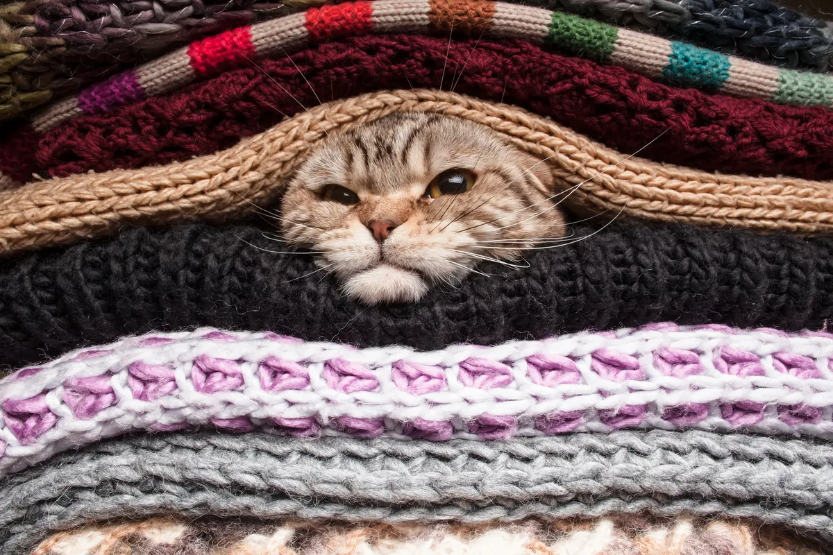 shutterstock_166023731 Mit dem Zwiebelprinzip und cleveren Gadgets warm durch den Winter