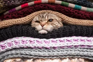 Schicht um Schicht in die Kälte: Wie funktioniert das Zwiebelprinzip genau und wie bleibt man lange warm im Winter?