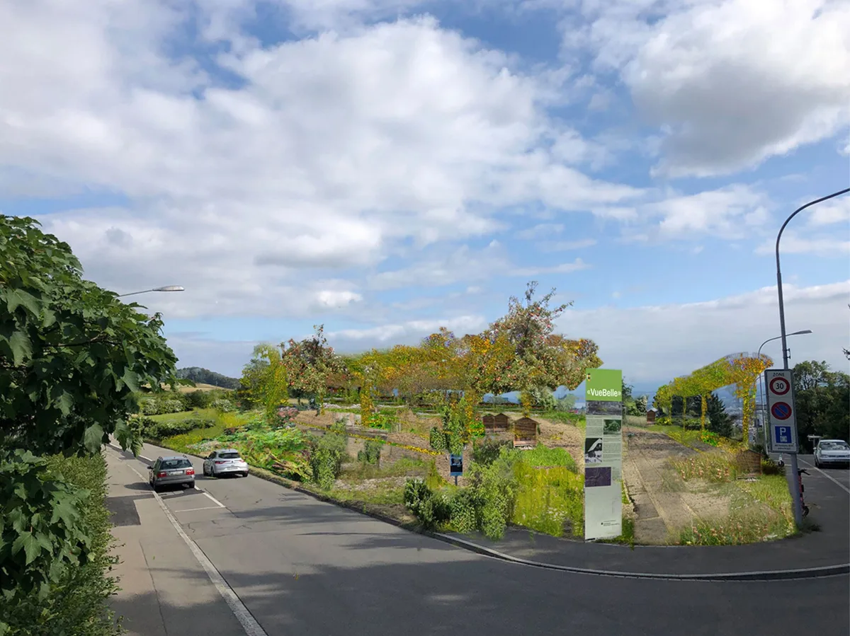 Visualisierung_Vuebelle Vuebelle: Biodiverser Zwillingsplatz
